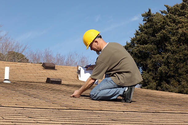 Best Roof Moss and Algae Removal  in Perryton, TX